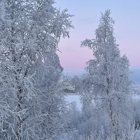 Napakettu Village Ξενοδοχείο με διαμερίσματα Karigasniemi